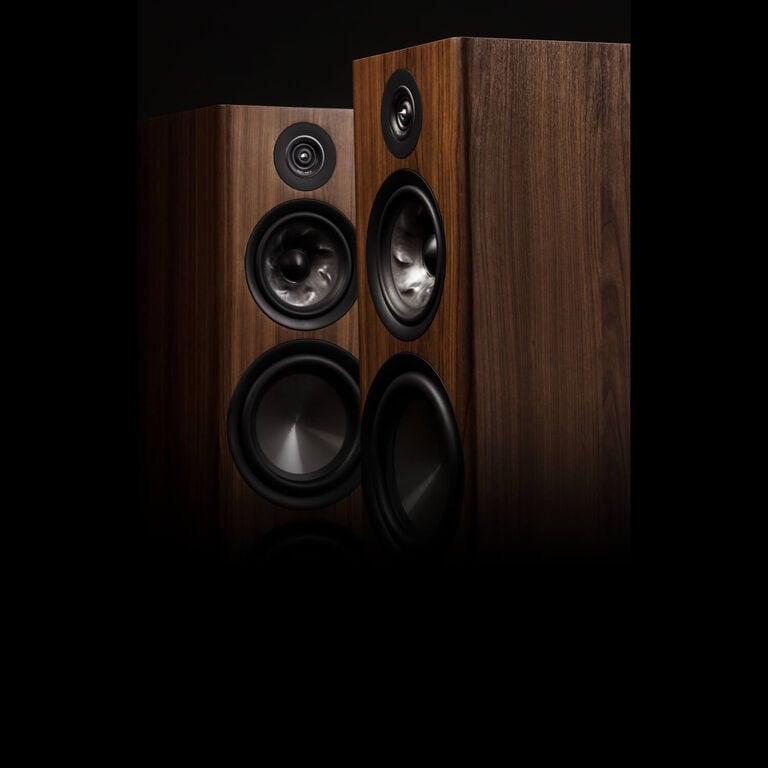 Tower & Floor Standing Speakers