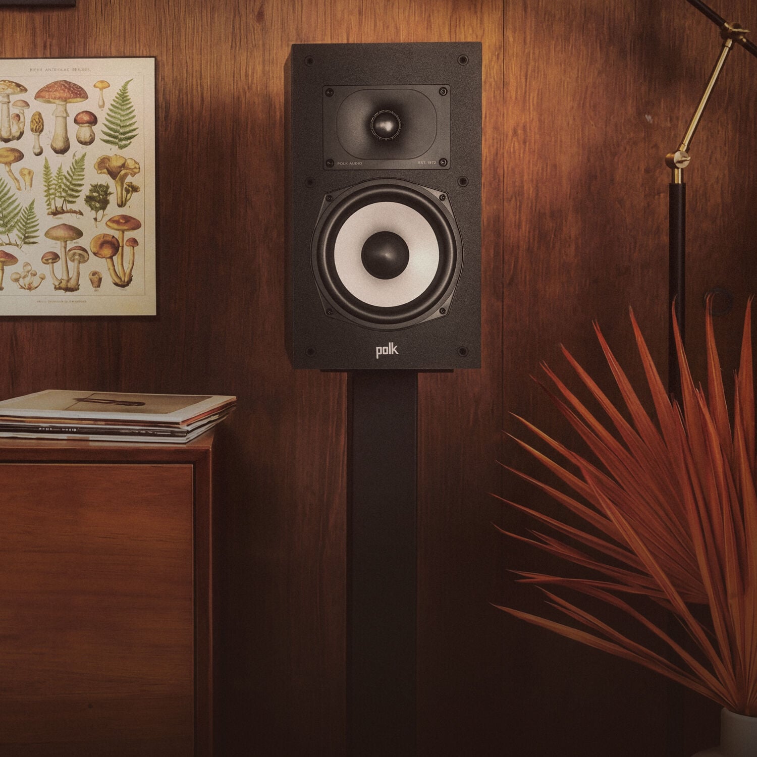 Monitor XT Bookshelf speaker on a stand