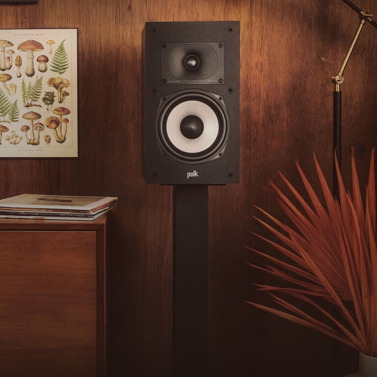 Monitor XT Bookshelf speaker on a stand