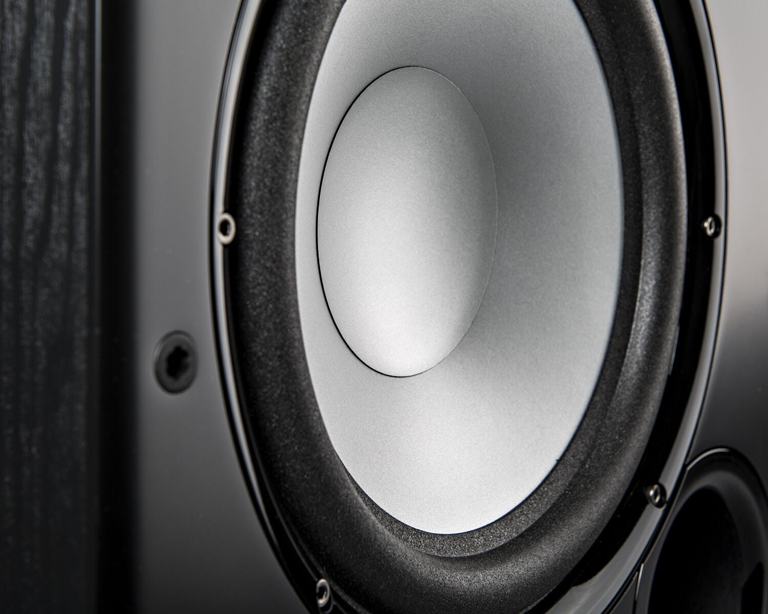 PSW speaker closeup