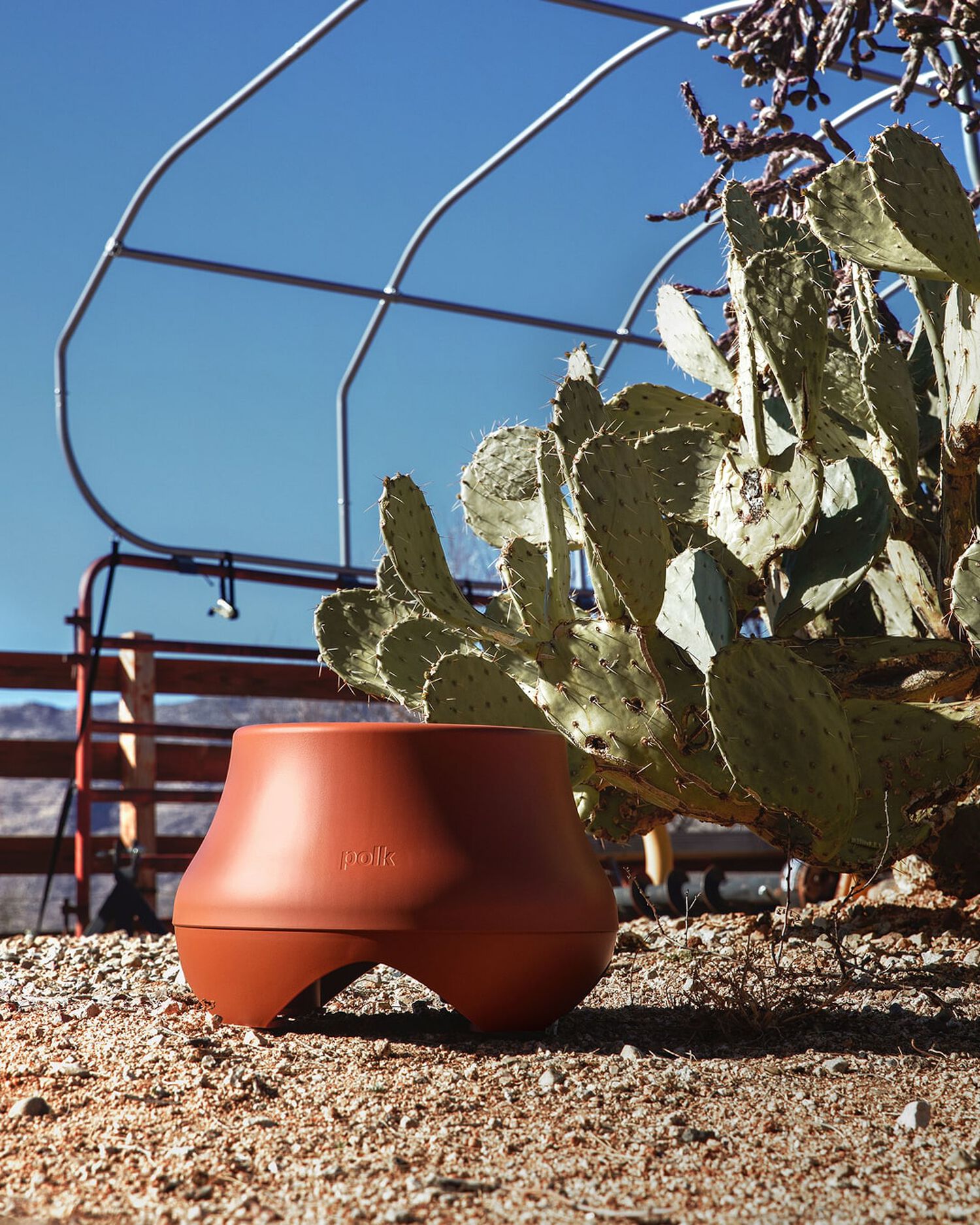 an outdoor subwoofer next to a cactus