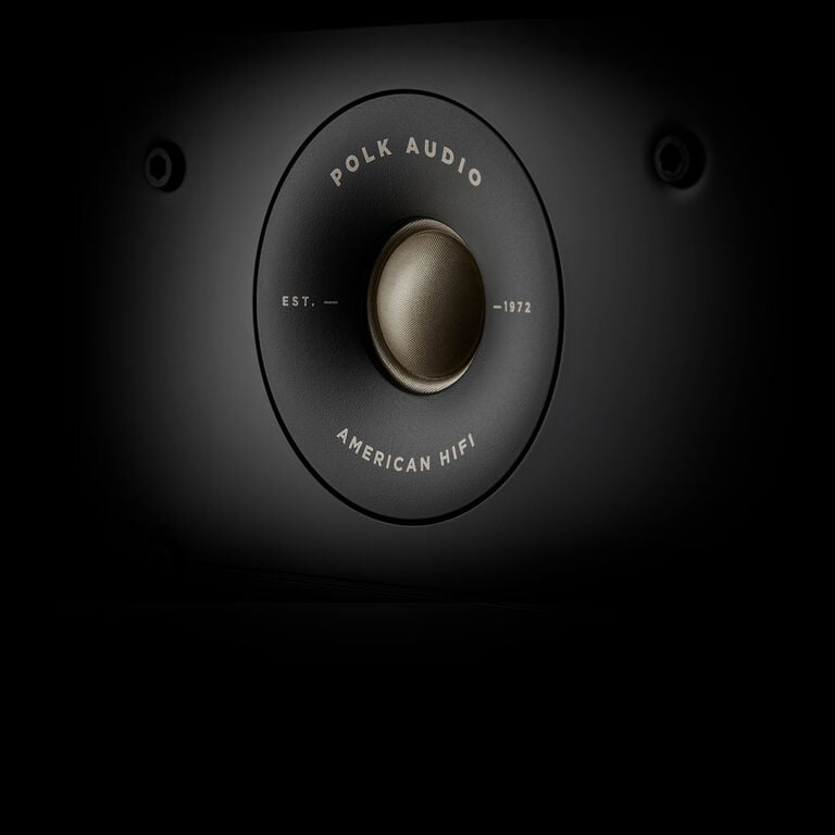 Polk speaker closeup Polk speaker closeup