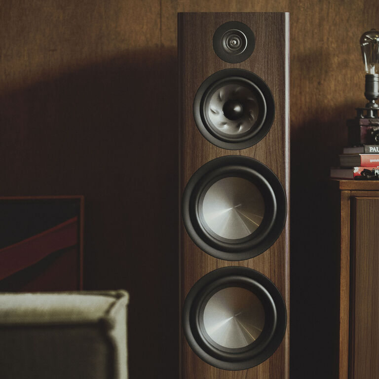 A Reserve Floor Standing Speaker A Reserve Floor Standing Speaker