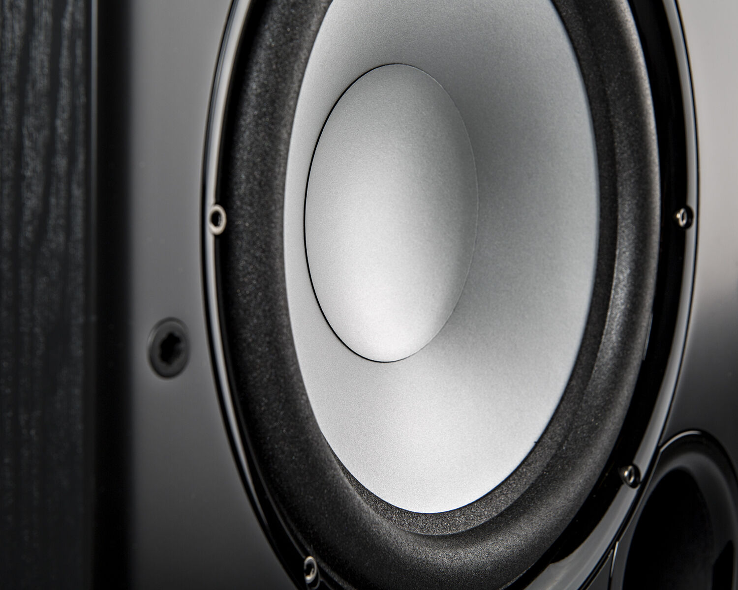 PSW speaker closeup