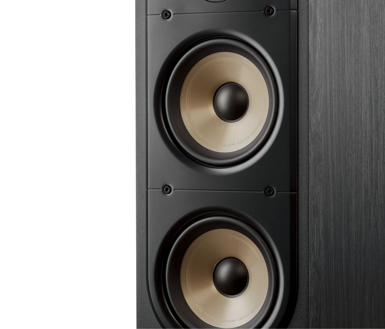 Signature Elite ES50, Black, dynamic