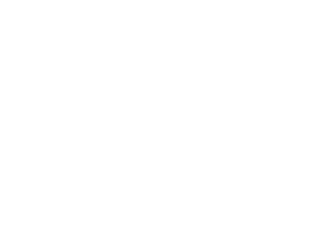 Polk logo