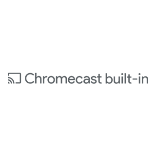 Google Chromecast Built-in